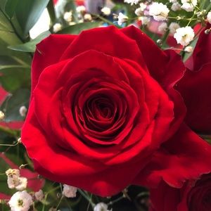 Meet your Posher, Lillian